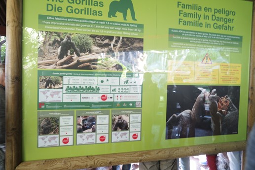 Tenerife - Loro Parque