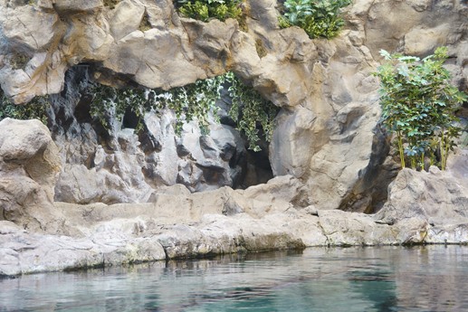 Tenerife - Loro Parque