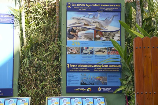 Tenerife - Loro Parque