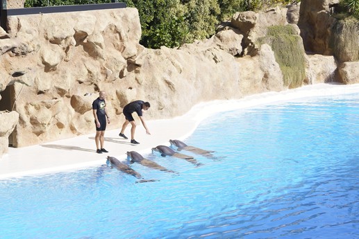 Tenerife - Loro Parque