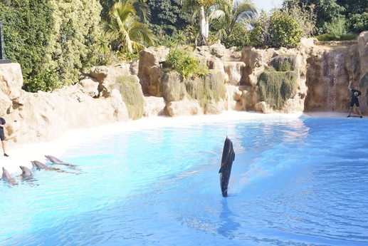 Tenerife - Loro Parque