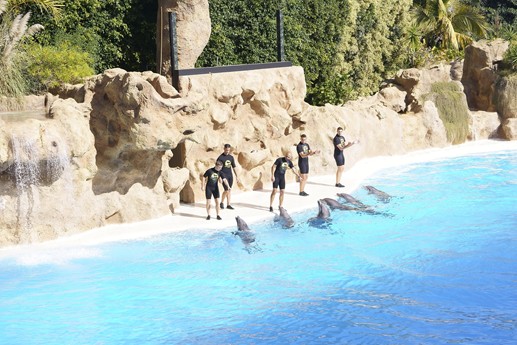 Tenerife - Loro Parque