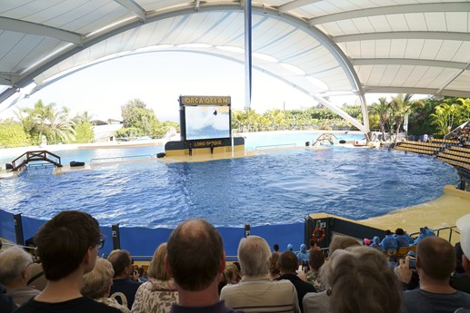 Tenerife - Loro Parque