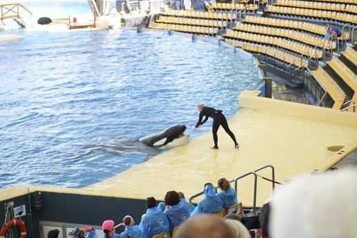 Tenerife - Loro Parque