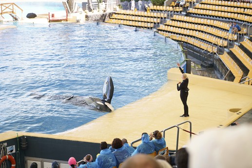 Tenerife - Loro Parque