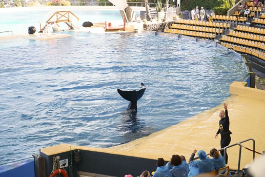 Tenerife - Loro Parque