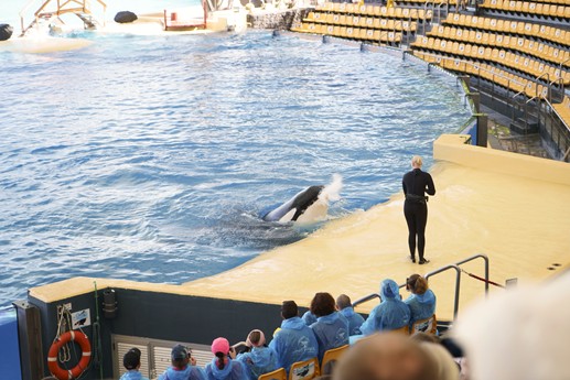 Tenerife - Loro Parque
