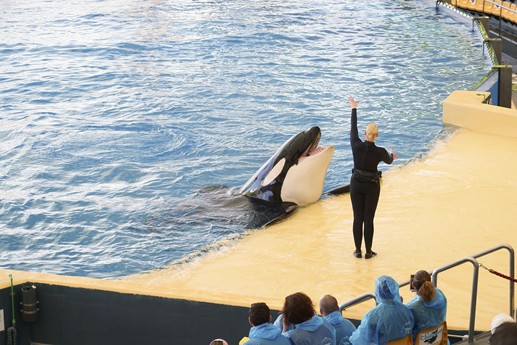 Tenerife - Loro Parque