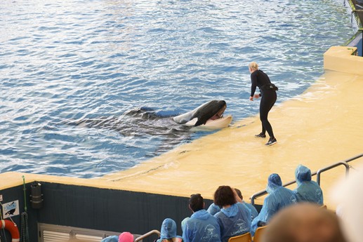 Tenerife - Loro Parque