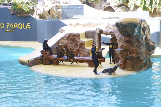 Tenerife - Loro Parque