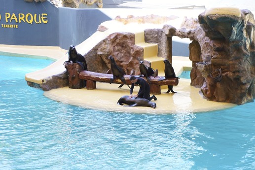 Tenerife - Loro Parque