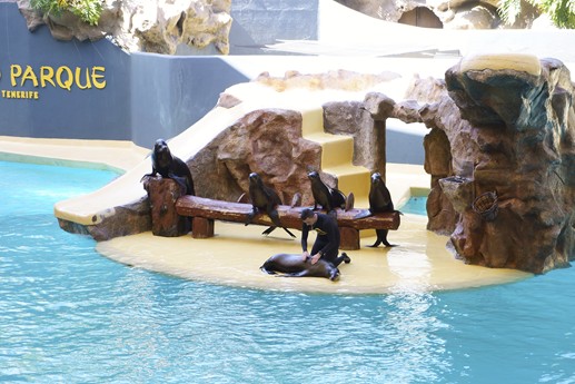 Tenerife - Loro Parque