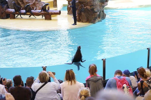 Tenerife - Loro Parque