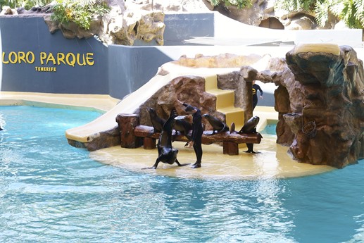 Tenerife - Loro Parque