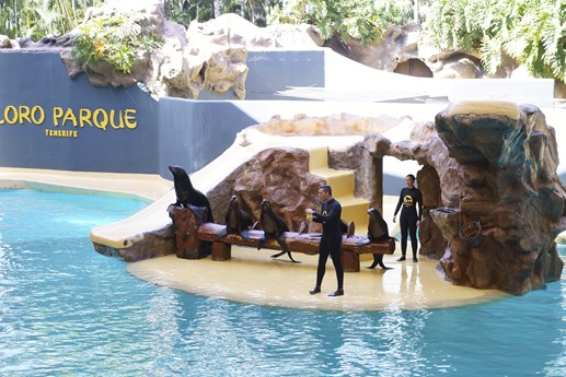 Tenerife - Loro Parque
