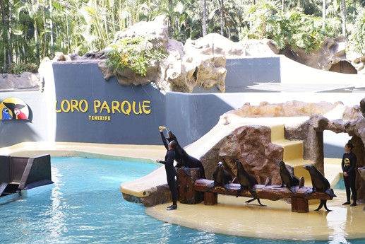 Tenerife - Loro Parque