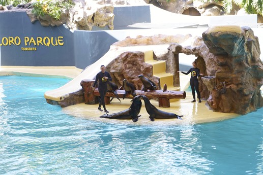 Tenerife - Loro Parque