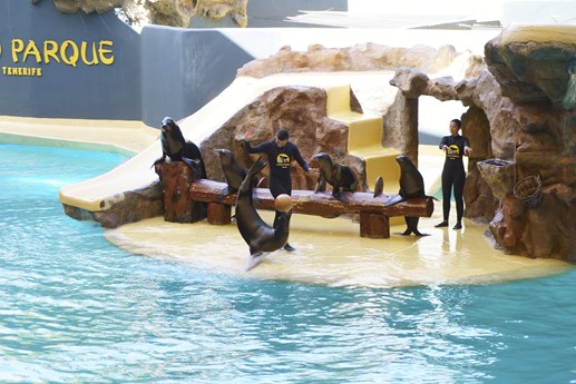 Tenerife - Loro Parque