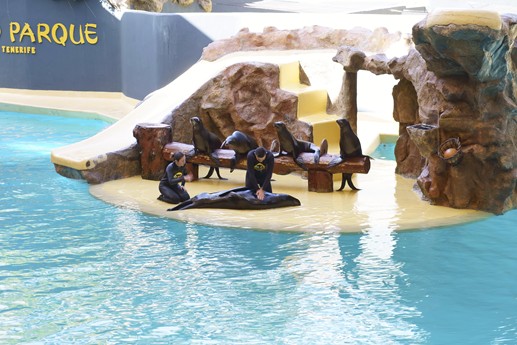 Tenerife - Loro Parque