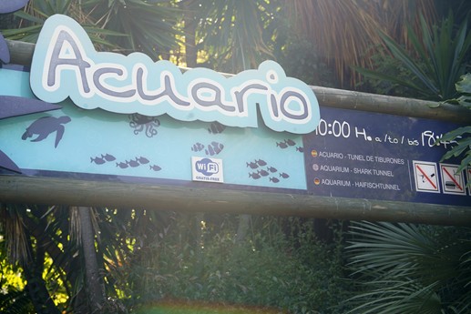 Tenerife - Loro Parque
