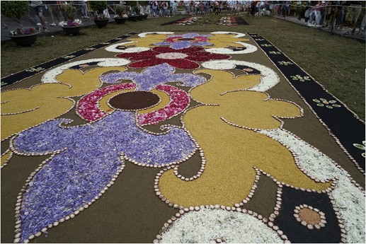  Tenerife - La Orotava, Alfombras del Corpus Christi 