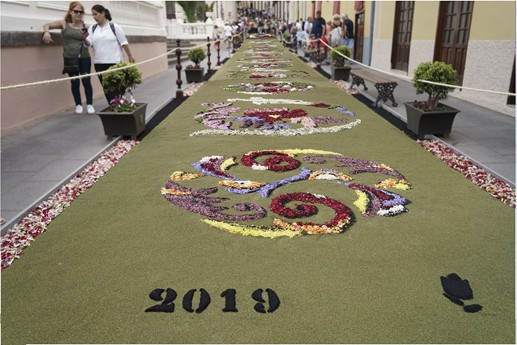  Tenerife - La Orotava, Alfombras del Corpus Christi 
