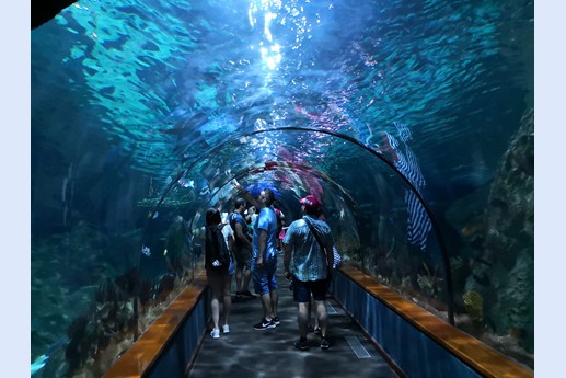 Tenerife - Loro Parque