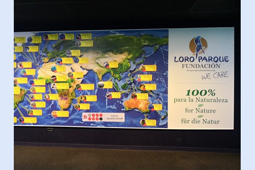 Tenerife - Loro Parque