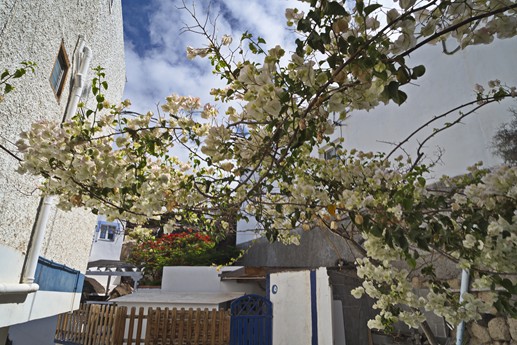 Tenerife - El Puertito