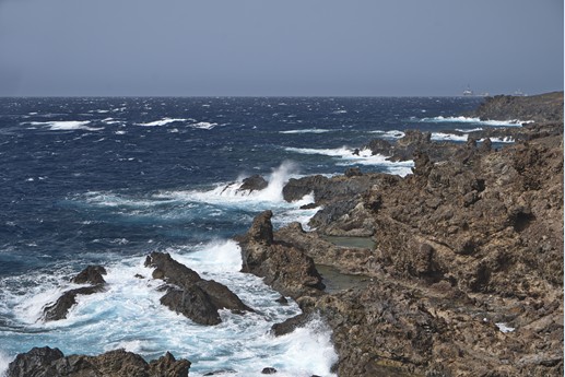 Tenerife - Punta Abona