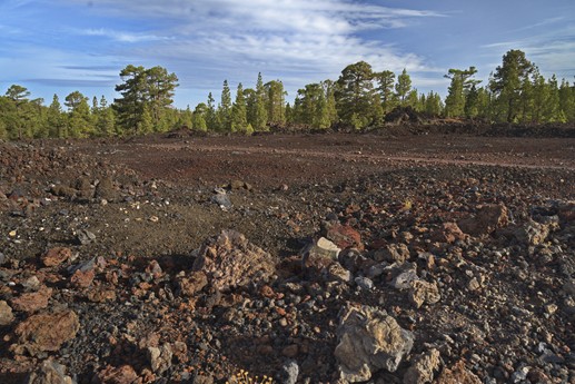 Vulcano Chinyero