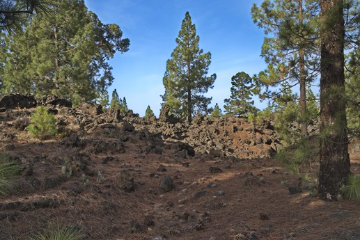 Vulcano Chinyero