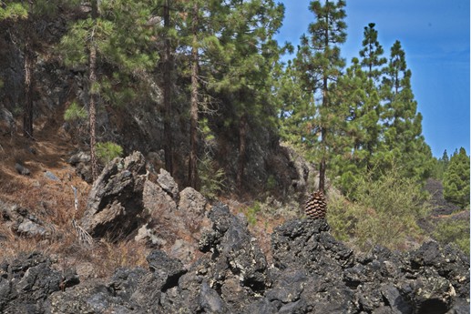 Vulcano Chinyero