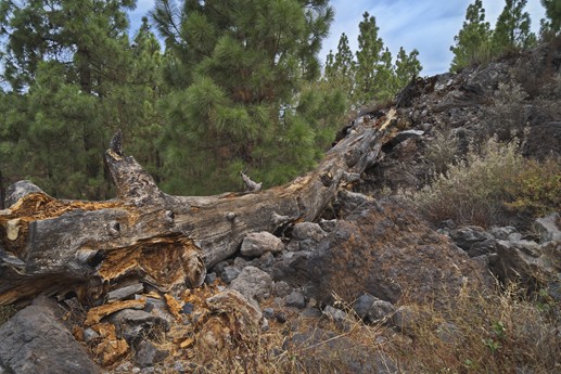 Vulcano Chinyero