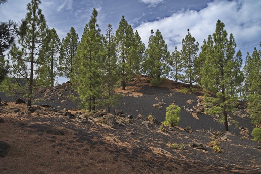 Vulcano Chinyero