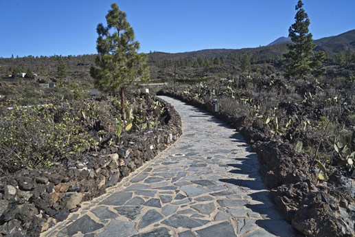 Tenerife - Chirce
