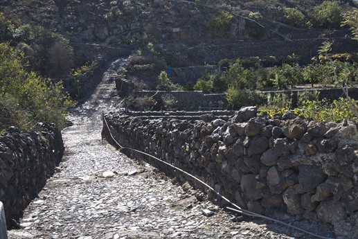 Tenerife - Chirce