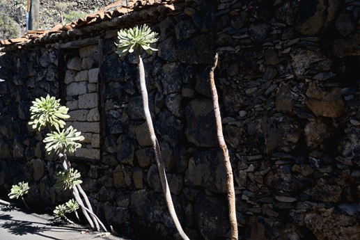 Tenerife - Chirce