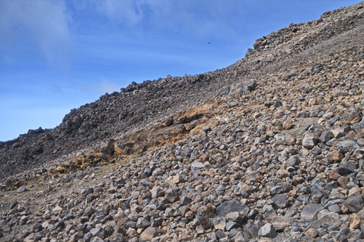 Salita al Teide