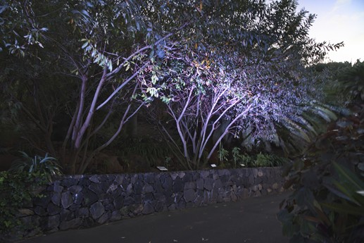 Naturaleza Encendida