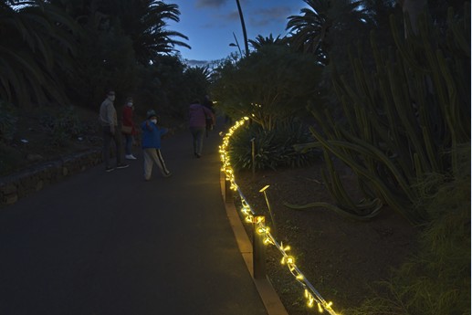 Naturaleza Encendida