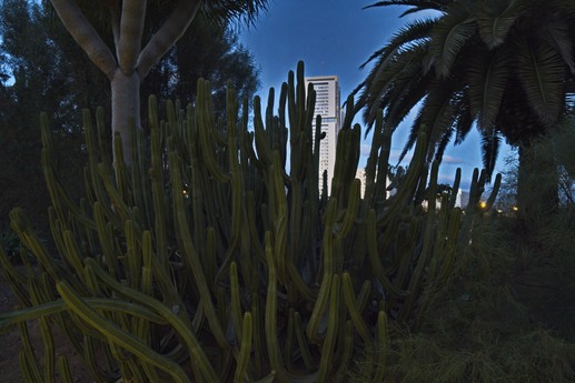 Naturaleza Encendida