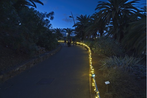 Naturaleza Encendida