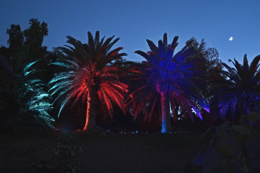 Naturaleza Encendida
