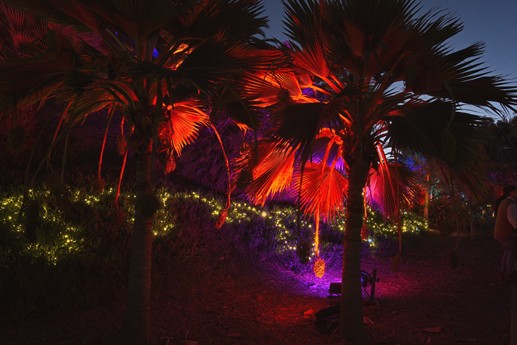 Naturaleza Encendida