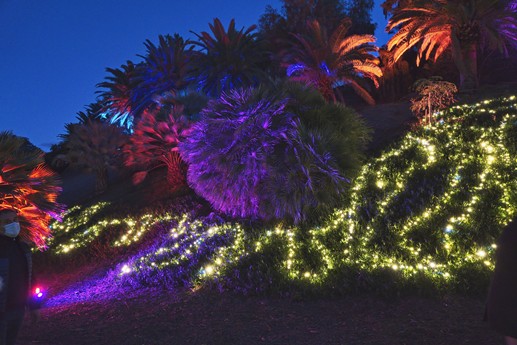 Naturaleza Encendida