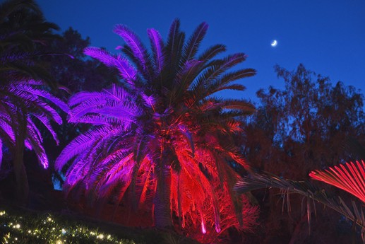 Naturaleza Encendida