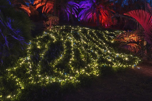 Naturaleza Encendida