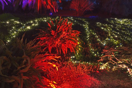 Naturaleza Encendida