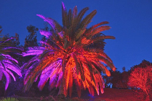 Naturaleza Encendida